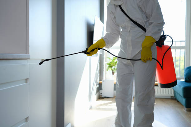 Best Crawl Space Mold Remediation in Verdigris, OK