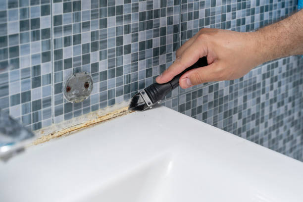 Best Mold Remediation for Schools in Verdigris, OK