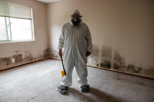Best Mold Testing and Inspection Services in Verdigris, OK