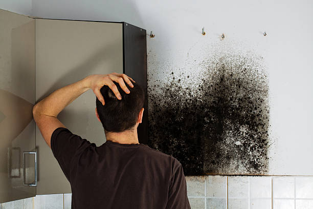 Best Bathroom Mold Remediation in Verdigris, OK